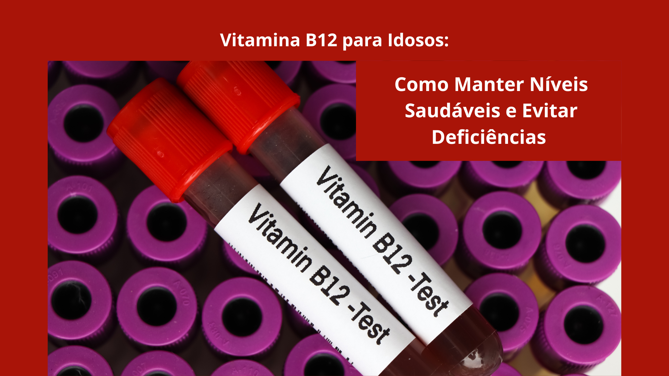 Vitamina B12 para Idosos: Como Manter Níveis Saudáveis e Evitar Deficiências