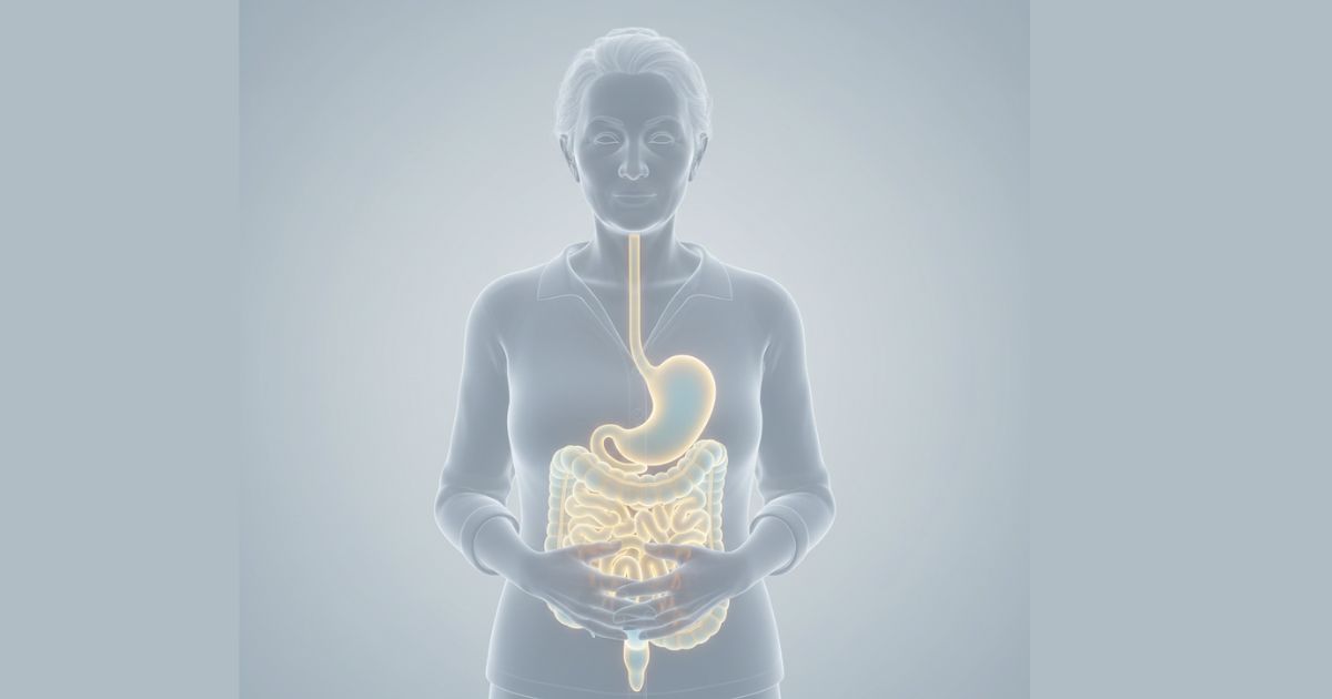 Idoso realizando atividade leve como representação da digestão e absorção de proteínas na terceira idade